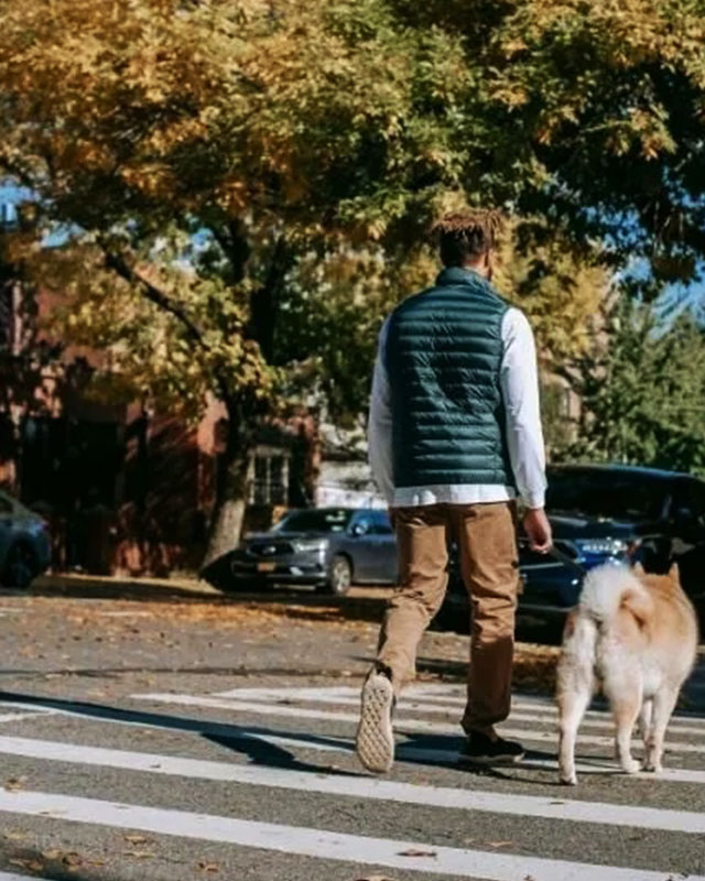 pedestrian-accident-attorney-near-me pedestrian accident attorney near me