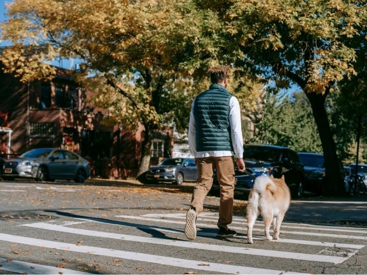 injured-in-a-crosswalk-because-of-a-negligent-driver